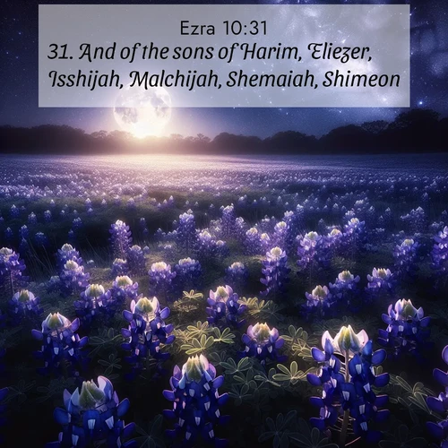 BasicEnglish Ezra  ; image nature: image with the bible verse :And of the sons of Harim, Eliezer, Isshijah, Malchijah, Shemaiah, Shimeon, ; Discover Bible images capturing the splendor of deserts, with golden dunes, vast skies, and peaceful oases. These landscapes highlight the grandeur and serenity of God&#039;s creation. Share verses like KJV Ezra 10:31. Current verse is overlayed with the thematic nature scene : Moonlight illuminates a field of bluebonnets. A warm breeze carries their sweet fragrance across the prairie. ; 10:31