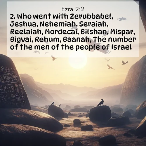 BBE 15 2:2
