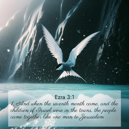 BBE Ezra 3:1 overlaying nature image scene: Arctic terns dive through sea spray above turquoise glacial meltwater. Their white wings flash silver against obsidian cliffs.;1. And when the seventh month came, and the children of Israel were in the towns, the people came together like one man to Jerusalem.