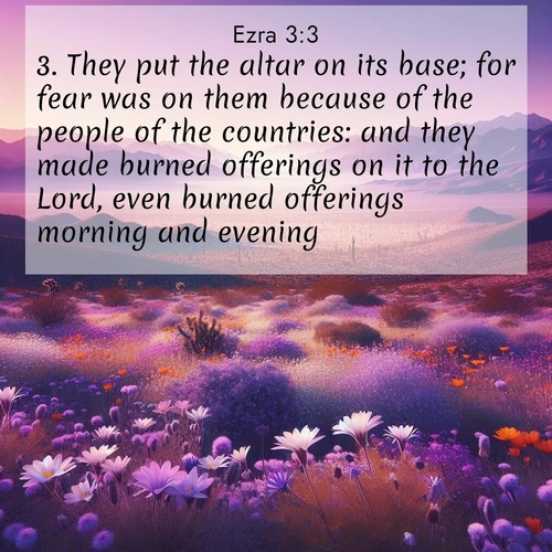BBE 15 3:3