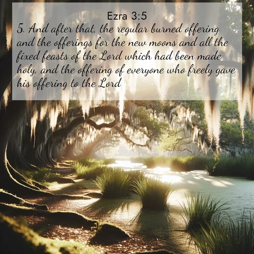 BBE Ezra 3:5 overlaying nature image scene: Summer afternoon light filters through Spanish moss in a bayou.;5. And after that, the regular burned offering and the offerings for the new moons and all the fixed feasts of the Lord which had been made holy, and the offering of everyone who freely gave his offering to the Lord.
