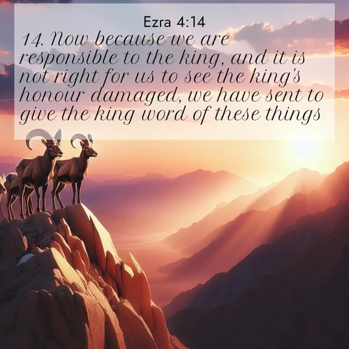 BasicEnglish Ezra  ; image nature: image with the bible verse :Now because we are responsible to the king, and it is not right for us to see the king&#039;s honour damaged, we have sent to give the king word of these things, ; Discover Bible images adorned with spring landscapes, like tulip fields, cherry blossoms, and green hills. These bright scenes symbolize God&#039;s renewal and grace. Download verses like KJV Ezra 4:14. Current verse is overlayed with the thematic nature scene : Desert bighorns pause on a knife-edge ridge. Sunset paints their horns in gold. ; 4:14
