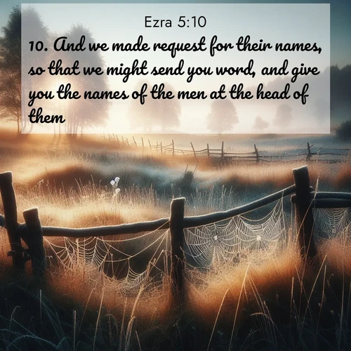 BBE Ezra 5:10 overlaying nature image scene: Morning frost coats spider webs stretched between fence posts in a country meadow.;10. And we made request for their names, so that we might send you word, and give you the names of the men at the head of them.
