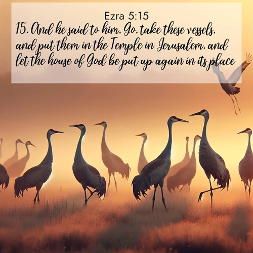 BBE Ezra 5:15 overlaying nature image scene: Sandhill cranes dance in morning mist. Their calls echo across the marsh.;15. And he said to him, Go, take these vessels, and put them in the Temple in Jerusalem, and let the house of God be put up again in its place.