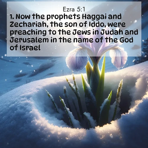 BBE 15 5:1
