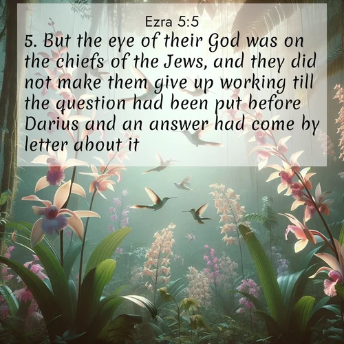 BBE Ezra 5:5 overlaying nature image scene: Wild orchids bloom in rainforest canopy. Hummingbirds dance between delicate petals.;5. But the eye of their God was on the chiefs of the Jews, and they did not make them give up working till the question had been put before Darius and an answer had come by letter about it.