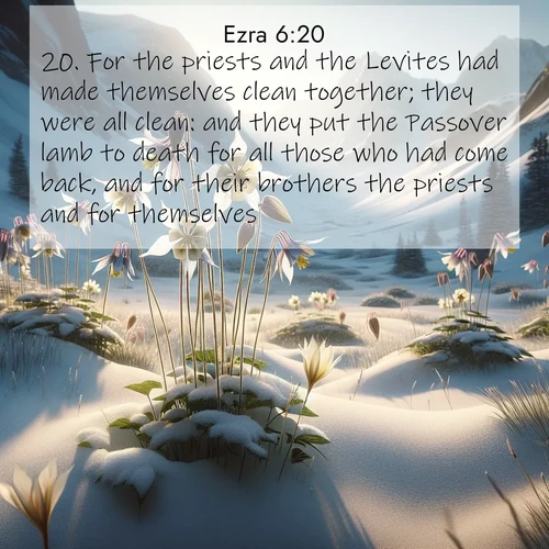 BasicEnglish Ezra  ; image nature: image with the bible verse :For the priests and the Levites had made themselves clean together; they were all clean: and they put the Passover lamb to death for all those who had come back, and for their brothers the priests and for themselves. ; Browse a large collection of Bible verse images with photos showcasing the splendor of nature. Scenes of peaceful rivers, verdant valleys, and radiant skies enhance the inspiring verses. Each image reflects the serenity and joy of God&#039;s creation, with elegant text fonts. Download and share verses such as KJV Ezra 6:20. Current verse is overlayed with the thematic nature scene : Wild columbines nod in alpine breeze. Glacier lilies dot snowy meadows. ; 6:20