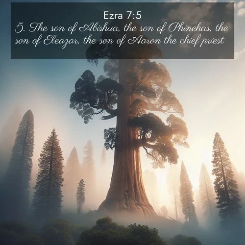 BasicEnglish Ezra  ; image nature: image with the bible verse :The son of Abishua, the son of Phinehas, the son of Eleazar, the son of Aaron the chief priest: ; Explore our gallery of inspiring Bible verse images showcasing divine beauty through nature. Download scenic images like snowy peaks, lush meadows, or radiant sunsets paired with verses like KJV Ezra 7:5. Current verse is overlayed with the thematic nature scene : A giant sequoia reaches through morning fog. Centuries of growth stretch skyward in silent majesty. ; 7:5