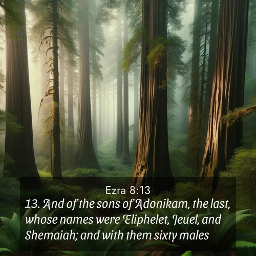 BasicEnglish Ezra  ; image nature: image with the bible verse :And of the sons of Adonikam, the last, whose names were Eliphelet, Jeuel, and Shemaiah; and with them sixty males. ; Explore a collection of inspiring Bible verse images accompanied by winter photos, such as snowy landscapes, frosted trees, and frozen lakes. These images reflect the peace and purity of God&#039;s creation, with elegant fonts and luminous colors. Download and share verses like KJV Ezra 8:13. Current verse is overlayed with the thematic nature scene : Coastal redwoods disappear into the fog high above a fern grove. ; 8:13