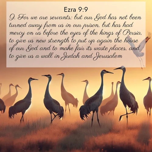 BasicEnglish Ezra  ; image nature: image with the bible verse :For we are servants; but our God has not been turned away from us in our prison, but has had mercy on us before the eyes of the kings of Persia, to give us new strength to put up again the house of our God and to make fair its waste places, and to give us a wall in Judah and Jerusalem. ; Admire stunning Bible verse images paired with photos of peaceful landscapes, such as foggy mornings, serene rivers, and blooming gardens. Download these free images and share verses like KJV Ezra 9:9. Current verse is overlayed with the thematic nature scene : Sandhill cranes dance in morning mist. Their calls echo across the marsh. ; 9:9