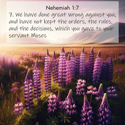 BBE Nehemiah 1:7 overlaying nature image scene: Wild lupines paint purple meadows. Snow lingers on distant peaks.;7. We have done great wrong against you, and have not kept the orders, the rules, and the decisions, which you gave to your servant Moses.