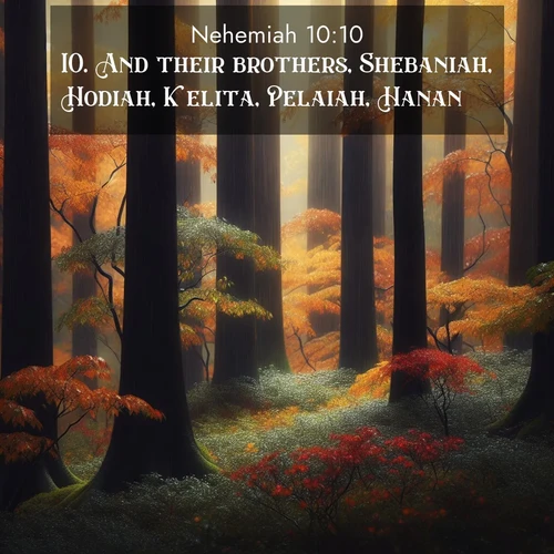 BasicEnglish Nehemiah  ; image nature: image with the bible verse :And their brothers, Shebaniah, Hodiah, Kelita, Pelaiah, Hanan, ; Download inspiring Bible verse images featuring stunning natural vistas, from tropical islands to rolling hills. These free images make perfect wallpapers or gifts. Share verses like KJV Nehemiah 10:10. Current verse is overlayed with the thematic nature scene : Autumn rain darkens tree trunks in the forest. ; 10:10