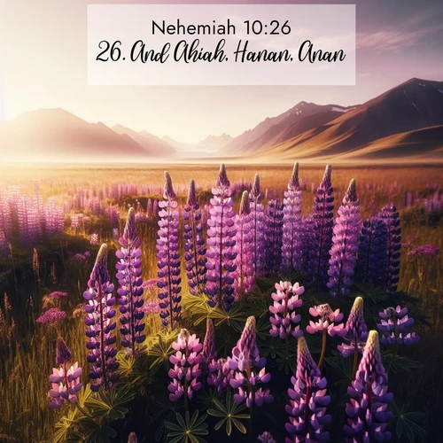 BBE Nehemiah 10:26 overlaying nature image scene: Wild lupines paint purple meadows. Snow lingers on distant peaks.;26. And Ahiah, Hanan, Anan,