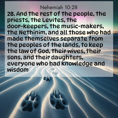 BBE Nehemiah 10:28 overlaying nature image scene: Arctic fox tracks cross windswept tundra. Northern lights pulse overhead in cosmic rhythm.;28. And the rest of the people, the priests, the Levites, the door-keepers, the music-makers, the Nethinim, and all those who had made themselves separate from the peoples of the lands, to keep the law of God, their wives, their sons, and their daughters, everyone who had knowledge and wisdom;