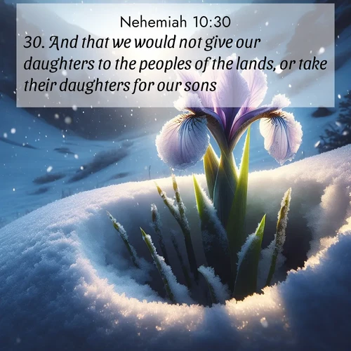 BBE Nehemiah 10:30 overlaying nature image scene: Wild iris breaks through spring snow. Alpine light ignites petals.;30. And that we would not give our daughters to the peoples of the lands, or take their daughters for our sons;