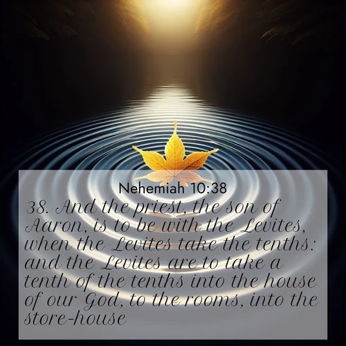 BBE Nehemiah 10:38 overlaying nature image scene: A single maple leaf floats on black water. Concentric ripples spread outward into infinity.;38. And the priest, the son of Aaron, is to be with the Levites, when the Levites take the tenths: and the Levites are to take a tenth of the tenths into the house of our God, to the rooms, into the store-house;