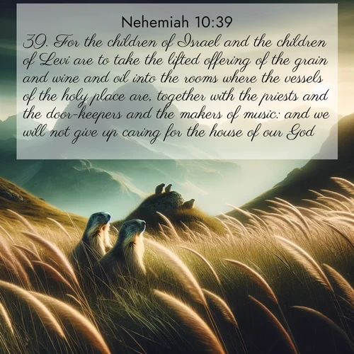 BBE Nehemiah 10:39 overlaying nature image scene: Mountain meadow grasses bend in wind. Marmots whistle from rocky outcrops.;39. For the children of Israel and the children of Levi are to take the lifted offering of the grain and wine and oil into the rooms where the vessels of the holy place are, together with the priests and the door-keepers and the makers of music: and we will not give up caring for the house of our God.