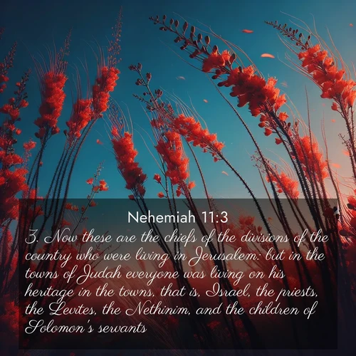 BBE 16 11:3