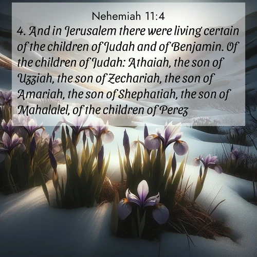 BBE Nehemiah 11:4 overlaying nature image scene: Wild irises pierce winter's last snow. Alpine light sets their petals ablaze.;4. And in Jerusalem there were living certain of the children of Judah and of Benjamin. Of the children of Judah: Athaiah, the son of Uzziah, the son of Zechariah, the son of Amariah, the son of Shephatiah, the son of Mahalalel, of the children of Perez;
