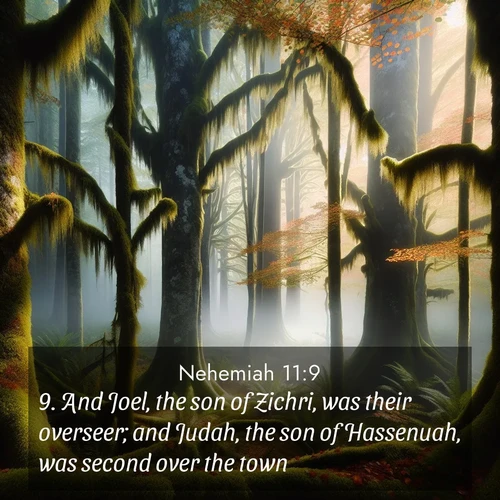 BBE Nehemiah 11:9 overlaying nature image scene: Autumn fog shrouds an old-growth forest draped in moss and lichen.;9. And Joel, the son of Zichri, was their overseer; and Judah, the son of Hassenuah, was second over the town.