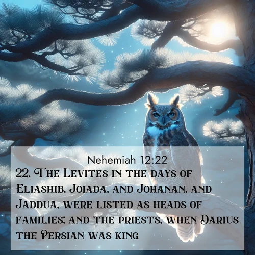 BasicEnglish Nehemiah  ; image nature: image with the bible verse :The Levites in the days of Eliashib, Joiada, and Johanan, and Jaddua, were listed as heads of families; and the priests, when Darius the Persian was king. ; Browse a gallery of Bible verses paired with summer scenes, such as golden wheat fields, bright skies, and sunny beaches. These images convey the joy and warmth of God&#039;s creation. Download and share verses like KJV Nehemiah 12:22. Current verse is overlayed with the thematic nature scene : A great horned owl watches from ancient pine branches. Moonlight silvers its silent wings. ; 12:22