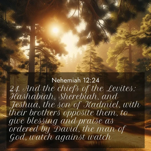 BasicEnglish Nehemiah  ; image nature: image with the bible verse :And the chiefs of the Levites: Hashabiah, Sherebiah, and Jeshua, the son of Kadmiel, with their brothers opposite them, to give blessing and praise as ordered by David, the man of God, watch against watch. ; Download Bible verse images featuring vibrant photos of nature, from snowy landscapes to golden deserts. These free images are perfect for phone wallpapers, desktop backgrounds, or sharing. Verses include KJV Nehemiah 12:24. Current verse is overlayed with the thematic nature scene : Summer heat brings out the scent of pine needles. ; 12:24