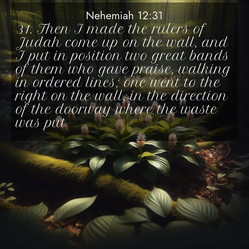 BasicEnglish Nehemiah  ; image nature: image with the bible verse :Then I made the rulers of Judah come up on the wall, and I put in position two great bands of them who gave praise, walking in ordered lines; one went to the right on the wall, in the direction of the doorway where the waste was put; ; Explore a collection of Bible verses paired with springtime scenes, featuring blooming flowers, lush meadows, and trees in full bloom. These images symbolize divine renewal and hope. Download inspiring verses like KJV Nehemiah 12:31. Current verse is overlayed with the thematic nature scene : Wild ginger blooms hidden in forest shadows. Filtered sunlight reveals their secret beauty. ; 12:31