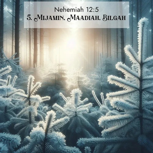 BasicEnglish Nehemiah  ; image nature: image with the bible verse :Mijamin, Maadiah, Bilgah, ; Explore beautiful Bible verse images paired with serene natural settings, such as calm seas, snowy paths, and verdant hills. Each image is free to download for your spiritual inspiration. Share KJV Nehemiah 12:5. Current verse is overlayed with the thematic nature scene : Morning frost rimes every pine needle. Weak winter sun struggles to pierce the forest. ; 12:5