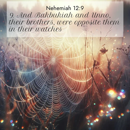 BasicEnglish Nehemiah  ; image nature: image with the bible verse :And Bakbukiah and Unno, their brothers, were opposite them in their watches. ; Explore Bible verses combined with serene beach photos, desert dunes, and infinite skies, highlighting God&#039;s majesty in every landscape. Download and share inspiring verses like KJV Nehemiah 12:9. Current verse is overlayed with the thematic nature scene : Morning fog reveals spider web galaxies. Dew drops catch rainbow light. ; 12:9