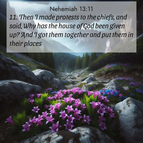 BasicEnglish Nehemiah  ; image nature: image with the bible verse :Then I made protests to the chiefs, and said, Why has the house of God been given up? And I got them together and put them in their places. ; Discover a unique collection of Bible verses adorned with winter landscapes, such as snow-covered forests, gently falling snowflakes, and pristine mountains. These images evoke the peace and purity of God&#039;s creation. Share verses like KJV Nehemiah 13:11. Current verse is overlayed with the thematic nature scene : Alpine gentians bloom in rocky crevices. Summer storms gather above treeline. ; 13:11
