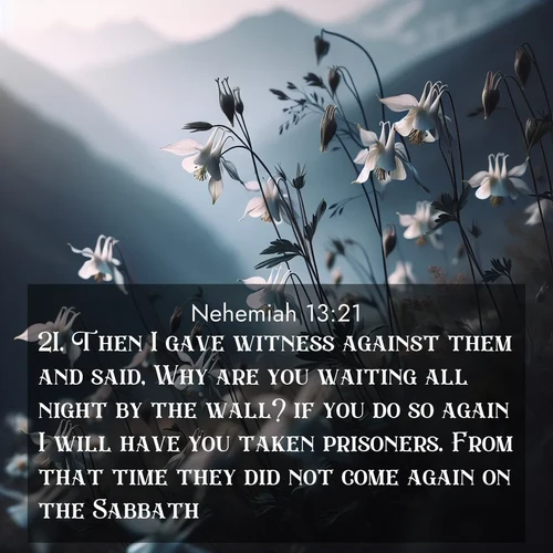 BasicEnglish Nehemiah  ; image nature: image with the bible verse :Then I gave witness against them and said, Why are you waiting all night by the wall? if you do so again I will have you taken prisoners. From that time they did not come again on the Sabbath. ; Explore a collection of free Bible verse images paired with serene landscapes like golden beaches, verdant forests, and clear blue skies. Each image is ideal for desktop or phone wallpapers. Share verses like KJV Nehemiah 13:21. Current verse is overlayed with the thematic nature scene : Wild columbines dance in breeze. Mountain air carries their perfume. ; 13:21