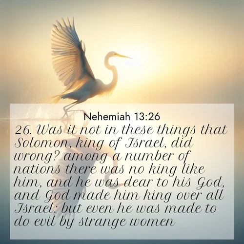BasicEnglish Nehemiah  ; image nature: image with the bible verse :Was it not in these things that Solomon, king of Israel, did wrong? among a number of nations there was no king like him, and he was dear to his God, and God made him king over all Israel: but even he was made to do evil by strange women. ; Browse our collection of Bible verses paired with captivating photos of God’s creation, like crystal-clear lakes, majestic cliffs, and colorful skies. All images are free for download and sharing. Verse examples include KJV Nehemiah 13:26. Current verse is overlayed with the thematic nature scene : A great egret lifts from mirror-still water. Sunrise sets its wings ablaze. ; 13:26