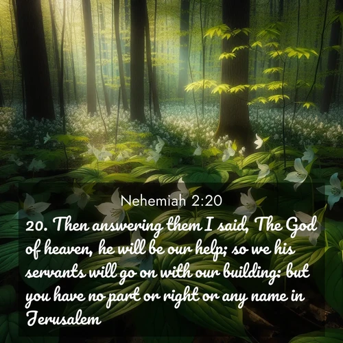 BasicEnglish Nehemiah  ; image nature: image with the bible verse :Then answering them I said, The God of heaven, he will be our help; so we his servants will go on with our building: but you have no part or right or any name in Jerusalem. ; Explore a collection of Bible verses paired with springtime scenes, featuring blooming flowers, lush meadows, and trees in full bloom. These images symbolize divine renewal and hope. Download inspiring verses like KJV Nehemiah 2:20. Current verse is overlayed with the thematic nature scene : Wild trillium carpets the forest floor. Sunlight filters green through new spring leaves. ; 2:20