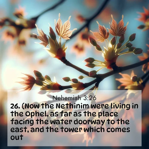 BasicEnglish Nehemiah  ; image nature: image with the bible verse :(Now the Nethinim were living in the Ophel, as far as the place facing the water doorway to the east, and the tower which comes out.) ; Browse a vast collection of Bible verse images featuring awe-inspiring landscapes such as calm lakes, vibrant sunsets, and peaceful fields. Download them for free and enjoy verses like KJV Nehemiah 3:26. Current verse is overlayed with the thematic nature scene : Spring buds burst open on maple branches against a blue sky. ; 3:26