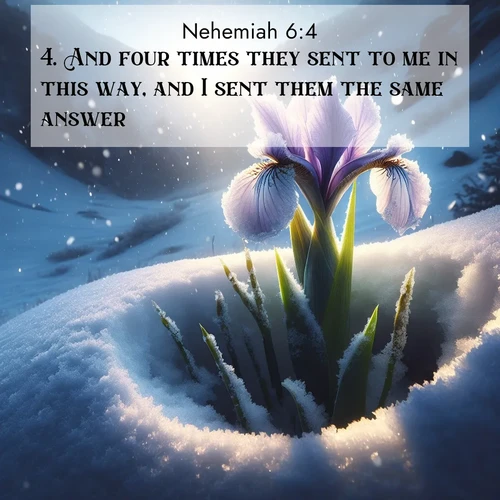 BasicEnglish Nehemiah  ; image nature: image with the bible verse :And four times they sent to me in this way, and I sent them the same answer. ; Admire Bible verse images illustrated by summer photos, such as sunny beaches, sparkling waves, and swaying palm trees. These bright scenes highlight the joy and warmth of God&#039;s creation. Download and share verses like KJV Nehemiah 6:4. Current verse is overlayed with the thematic nature scene : Wild iris breaks through spring snow. Alpine light ignites petals. ; 6:4