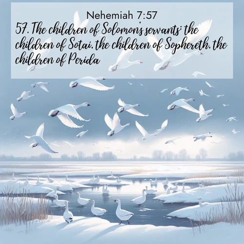 BasicEnglish Nehemiah  ; image nature: image with the bible verse :The children of Solomon&#039;s servants: the children of Sotai, the children of Sophereth, the children of Perida, ; Discover beautiful Bible verse images that combine inspiring scripture with captivating nature photos. Download high-quality images featuring lush valleys, peaceful streams, and endless horizons like KJV Nehemiah 7:57. Current verse is overlayed with the thematic nature scene : Snow geese take flight from a winter marsh. Their wings flash white against leaden skies. ; 7:57