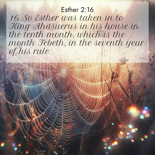 BasicEnglish Esther  ; image nature: image with the bible verse :So Esther was taken in to King Ahasuerus in his house in the tenth month, which is the month Tebeth, in the seventh year of his rule. ; Download Bible verse images featuring vibrant photos of nature, from snowy landscapes to golden deserts. These free images are perfect for phone wallpapers, desktop backgrounds, or sharing. Verses include KJV Esther 2:16. Current verse is overlayed with the thematic nature scene : Morning fog reveals spider web galaxies. Dew drops catch rainbow light. ; 2:16