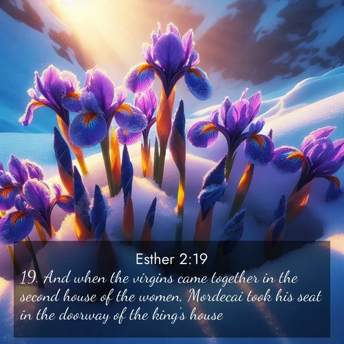 BasicEnglish Esther  ; image nature: image with the bible verse :And when the virgins came together in the second house of the women, Mordecai took his seat in the doorway of the king&#039;s house. ; Admire our gallery of Bible verse images paired with serene nature photography, featuring starlit skies, golden sands, and blooming wildflowers. Download and share verses like KJV Esther 2:19. Current verse is overlayed with the thematic nature scene : Wild iris blooms pierce through melting snow. Alpine sunlight ignites their petals. ; 2:19