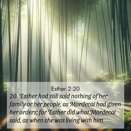 BasicEnglish Esther  ; image nature: image with the bible verse :Esther had still said nothing of her family or her people, as Mordecai had given her orders; for Esther did what Mordecai said, as when she was living with him. ; Browse a large collection of Bible verse images with photos showcasing the splendor of nature. Scenes of peaceful rivers, verdant valleys, and radiant skies enhance the inspiring verses. Each image reflects the serenity and joy of God&#039;s creation, with elegant text fonts. Download and share verses such as KJV Esther 2:20. Current verse is overlayed with the thematic nature scene : Bamboo forests cast striped shadows while a gentle rain patters on broad leaves. ; 2:20