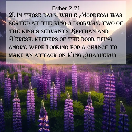 BasicEnglish Esther  ; image nature: image with the bible verse :In those days, while Mordecai was seated at the king&#039;s doorway, two of the king&#039;s servants, Bigthan and Teresh, keepers of the door, being angry, were looking for a chance to make an attack on King Ahasuerus. ; Discover Bible images adorned with spring landscapes, like tulip fields, cherry blossoms, and green hills. These bright scenes symbolize God&#039;s renewal and grace. Download verses like KJV Esther 2:21. Current verse is overlayed with the thematic nature scene : Wild lupines paint mountain meadows purple. Snow lingers on distant peaks. ; 2:21