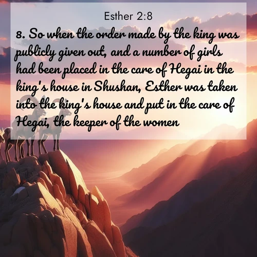 BasicEnglish Esther  ; image nature: image with the bible verse :So when the order made by the king was publicly given out, and a number of girls had been placed in the care of Hegai in the king&#039;s house in Shushan, Esther was taken into the king&#039;s house and put in the care of Hegai, the keeper of the women. ; Dive into our collection of Bible verse images beautifully illustrated with beach photos, featuring gentle waves, sunsets over the sea, and sandy shores. These scenes evoke the peace and majesty of God. Download and share inspiring verses like KJV Esther 2:8. Current verse is overlayed with the thematic nature scene : Desert bighorns pause on a knife-edge ridge. Sunset paints their horns in gold. ; 2:8
