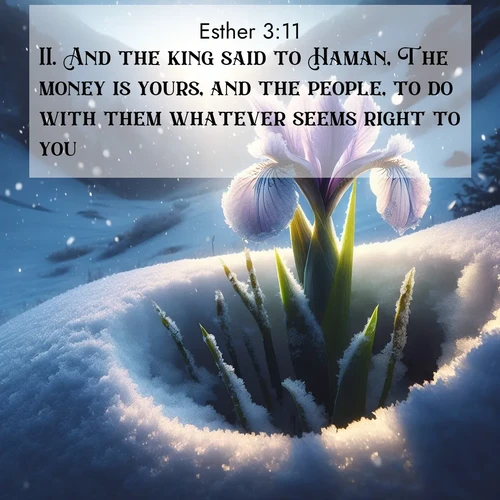 BasicEnglish Esther  ; image nature: image with the bible verse :And the king said to Haman, The money is yours, and the people, to do with them whatever seems right to you. ; Explore free Bible verse images with stunning nature themes, including sunlit paths, forest clearings, and endless horizons. Perfect for desktop backgrounds or phone wallpapers. Verses include KJV Esther 3:11. Current verse is overlayed with the thematic nature scene : Wild iris breaks through spring snow. Alpine light ignites petals. ; 3:11
