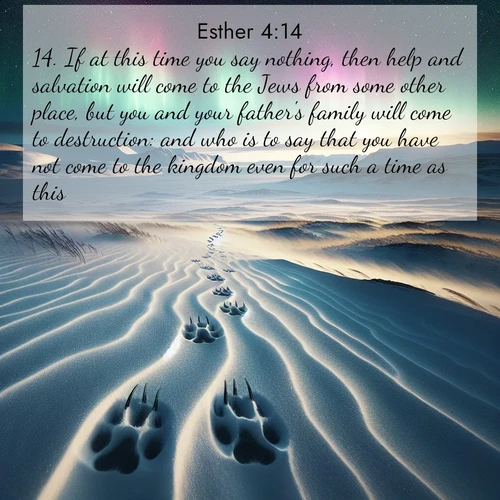 BasicEnglish Esther  ; image nature: image with the bible verse :If at this time you say nothing, then help and salvation will come to the Jews from some other place, but you and your father&#039;s family will come to destruction: and who is to say that you have not come to the kingdom even for such a time as this? ; Discover Bible images capturing the essence of autumn, with wooded paths, golden fields, and swirling leaves. These scenes reflect the changing beauty of God&#039;s creation. Download verses like KJV Esther 4:14. Current verse is overlayed with the thematic nature scene : Arctic fox tracks cross windswept tundra. Northern lights pulse overhead in cosmic rhythm. ; 4:14