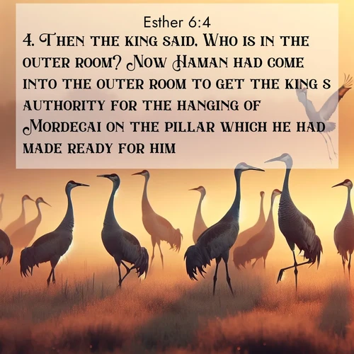 BBE Esther 6:4 overlaying nature image scene: Sandhill cranes dance in morning mist. Their calls echo across the marsh.;4. Then the king said, Who is in the outer room? Now Haman had come into the outer room to get the king's authority for the hanging of Mordecai on the pillar which he had made ready for him.
