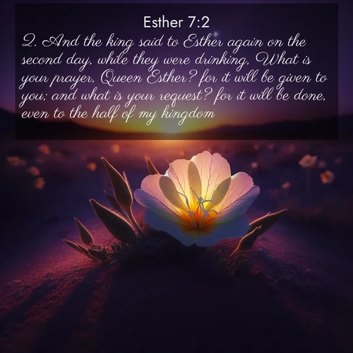 BasicEnglish Esther  ; image nature: image with the bible verse :And the king said to Esther again on the second day, while they were drinking, What is your prayer, Queen Esther? for it will be given to you; and what is your request? for it will be done, even to the half of my kingdom. ; Download Bible verse images paired with breathtaking nature photos like golden deserts, shimmering seas, and blossoming orchards. These high-quality, free images are perfect for wallpapers or sharing. Verses include KJV Esther 7:2. Current verse is overlayed with the thematic nature scene : Desert evening primrose opens to the setting sun. Stars emerge in the deepening purple sky. ; 7:2