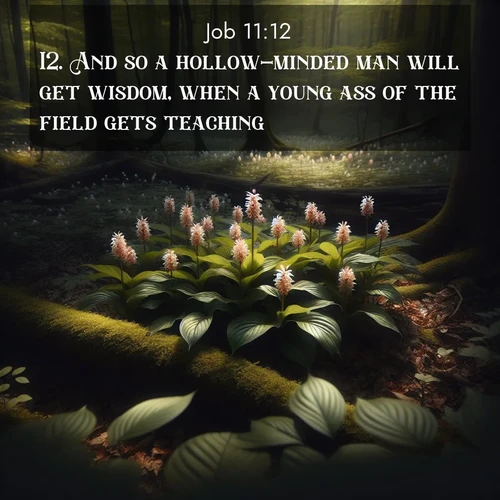 BasicEnglish Job  ; image nature: image with the bible verse :And so a hollow-minded man will get wisdom, when a young ass of the field gets teaching. ; Explore serene Bible verse images adorned with photos of divine creation—tranquil beaches, snowy mountains, and starry skies. Each image is free to download and share. Verses include KJV Job 11:12. Current verse is overlayed with the thematic nature scene : Wild ginger blooms hidden in forest shadows. Filtered sunlight reveals their secret beauty. ; 11:12