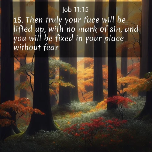 BasicEnglish Job  ; image nature: image with the bible verse :Then truly your face will be lifted up, with no mark of sin, and you will be fixed in your place without fear: ; Explore a stunning collection of Bible verse images featuring picturesque scenery like sun-drenched meadows, tranquil lakes, and majestic forests. All images are free to download and share. Verses include KJV Job 11:15. Current verse is overlayed with the thematic nature scene : Autumn rain darkens tree trunks in the forest. ; 11:15