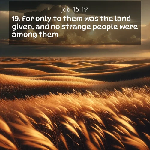 BasicEnglish Job  ; image nature: image with the bible verse :For only to them was the land given, and no strange people were among them:) ; Dive into our collection of Bible verses paired with breathtaking desert landscapes, featuring infinite dunes, shaded oases, and desert sunsets. These images highlight the majestic grandeur of God&#039;s creation. Download and share verses like KJV Job 15:19. Current verse is overlayed with the thematic nature scene : Prairie grass waves like a golden ocean. Storm clouds build towers on the horizon. ; 15:19
