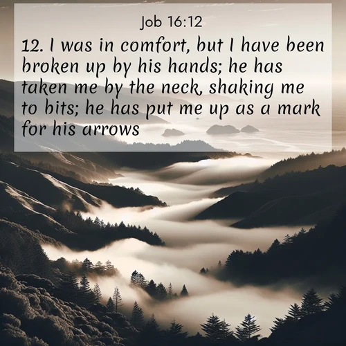 BasicEnglish Job  ; image nature: image with the bible verse :I was in comfort, but I have been broken up by his hands; he has taken me by the neck, shaking me to bits; he has put me up as a mark for his arrows. ; Explore our gallery of inspiring Bible verse images showcasing divine beauty through nature. Download scenic images like snowy peaks, lush meadows, or radiant sunsets paired with verses like KJV Job 16:12. Current verse is overlayed with the thematic nature scene : Coastal fog rolls inland through gaps in seaside hills. ; 16:12