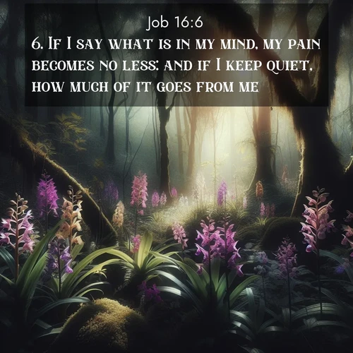 BasicEnglish Job  ; image nature: image with the bible verse :If I say what is in my mind, my pain becomes no less: and if I keep quiet, how much of it goes from me? ; Download high-resolution Bible verse images showcasing the beauty of God&#039;s creation—from radiant sunsets to tranquil rivers. Free for use as wallpapers or sharing verses like KJV Job 16:6. Current verse is overlayed with the thematic nature scene : Wild orchids bloom in forest shade. Filtered light reveals their grace. ; 16:6